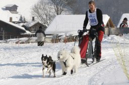 Lenk 2012 SM